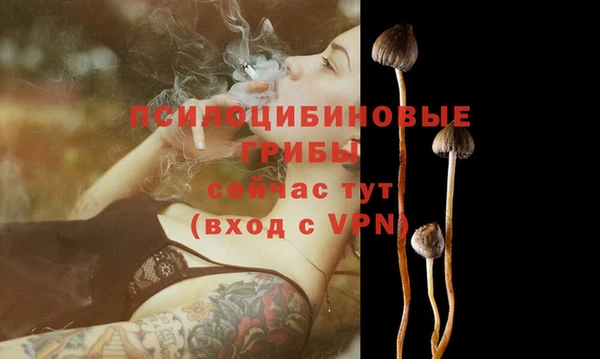 ALPHA PVP Армянск