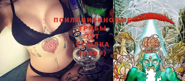 2c-b Арсеньев
