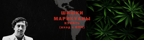 ГАЛЛЮЦИНОГЕННЫЕ ГРИБЫ Балахна