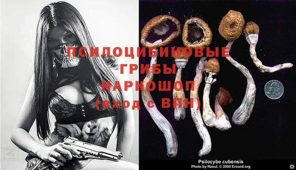 ALPHA PVP Армянск