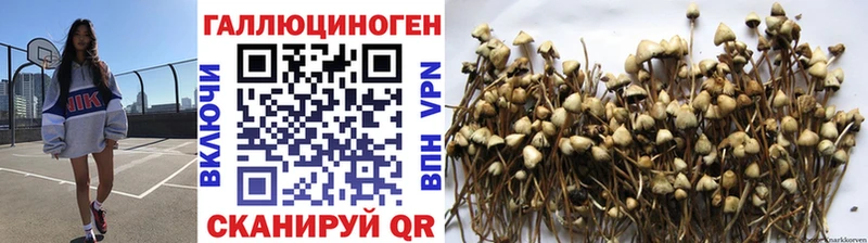 Галлюциногенные грибы MAGIC MUSHROOMS  Усть-Лабинск 